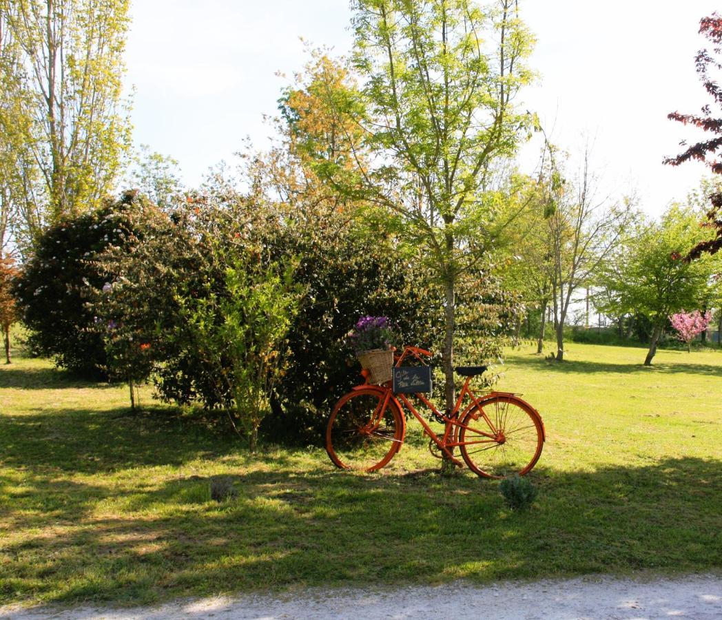 Apartamento Gite De La Petite Vallee Saint-Savinien Exterior foto